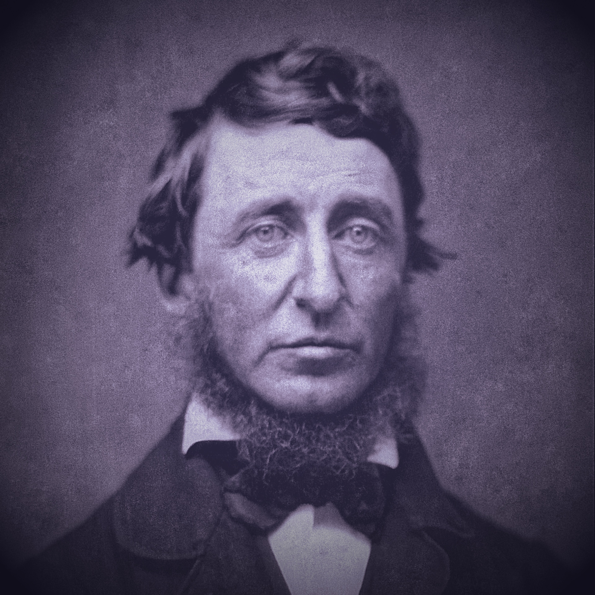 Henry Purp
